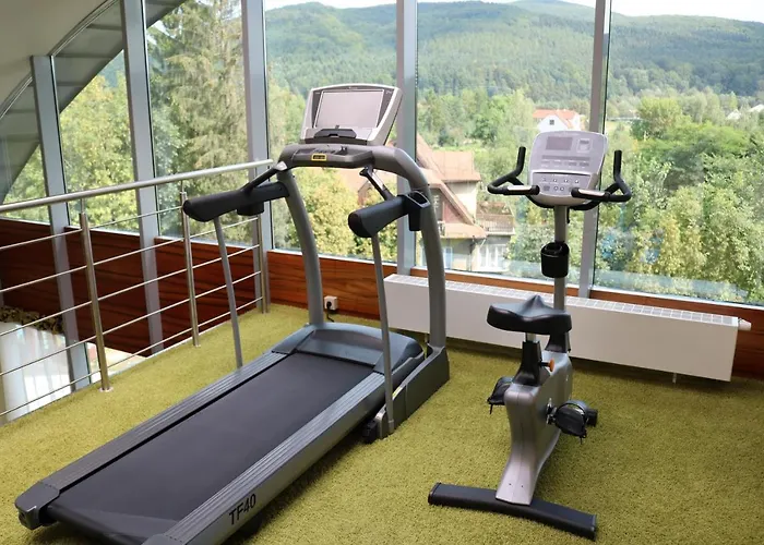 Hotel Młyn Jacka Hotel&spa Jaroszowice